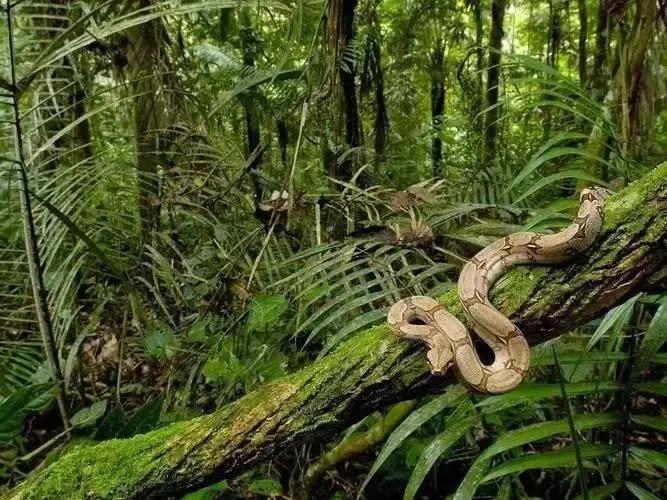 全球十大诡异禁区_欧洲无人区免费正片在哪里看_神秘禁区探索